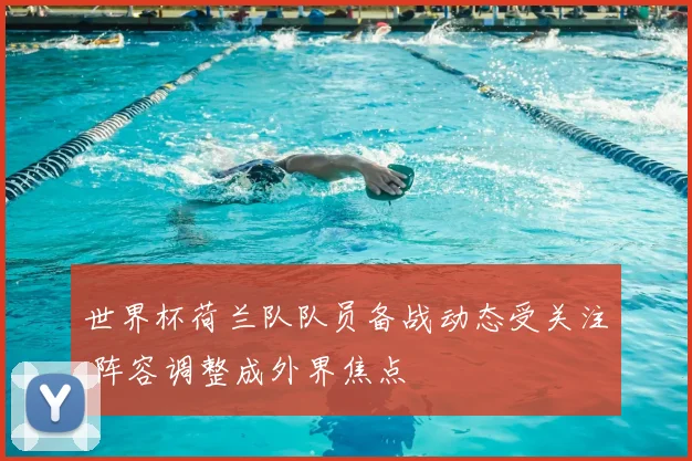 世界杯荷兰队队员备战动态受关注 阵容调整成外界焦点